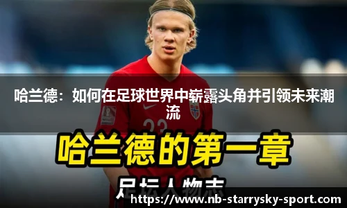 星空体育官网入口